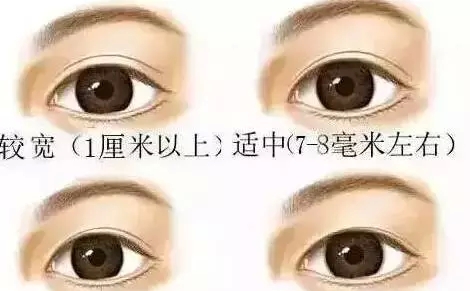 ˫ƤЩխЩÿ