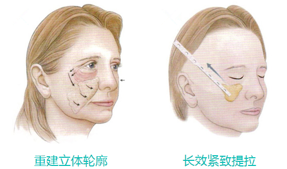 2016沿ۺữѧֻ