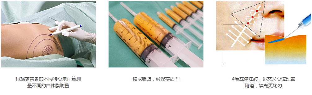 ȫ沿ۺữײ